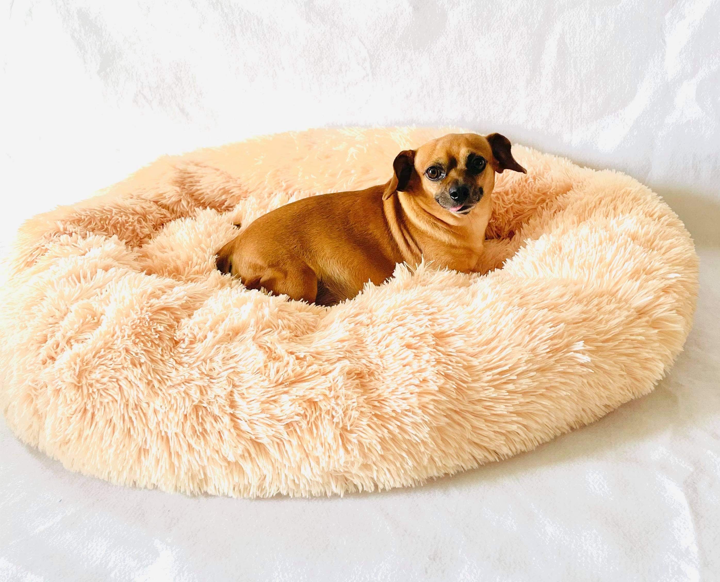 Donut Shaped Luxury Dog Bed
